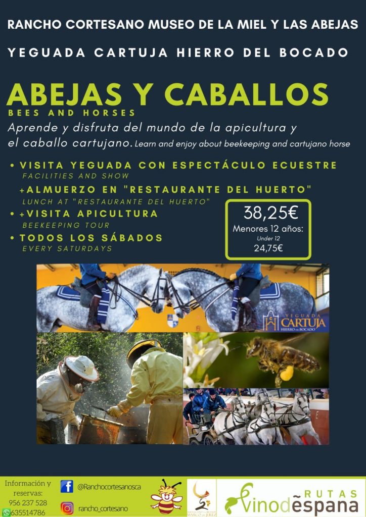 Abejas y caballos