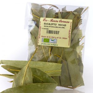 Eucalipto Hojas ECO