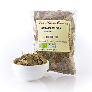 Ginkgo Biloba