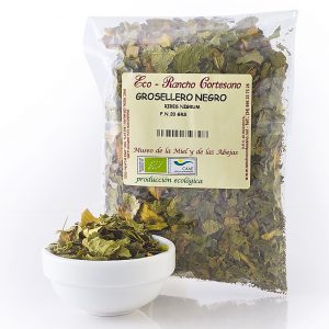 Grosellero Negro ECO