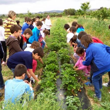 visita al centro rancho
